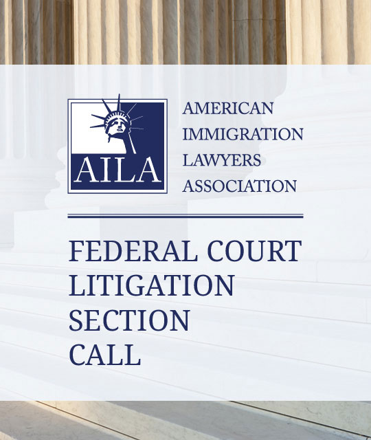Federal Court Litigation Section Quarterly Call (October 2025)