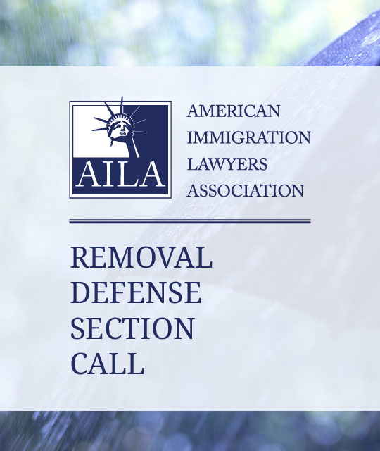 Removal Defense Section Quarterly Call (October 2023)