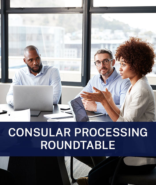 Litigation of Administrative Processing Delays