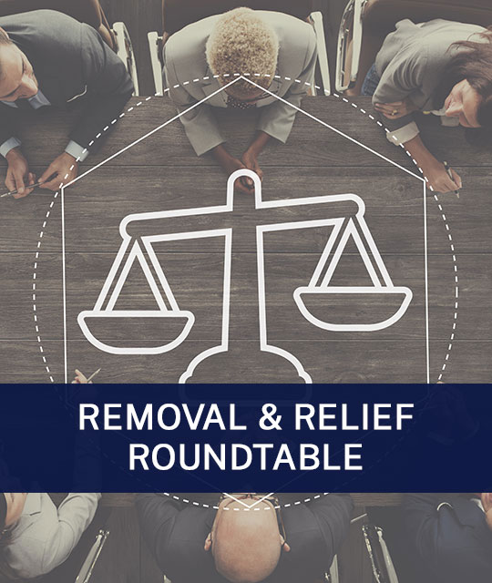 Facing Off with ECAS and Other Immigration Court Tech Issues