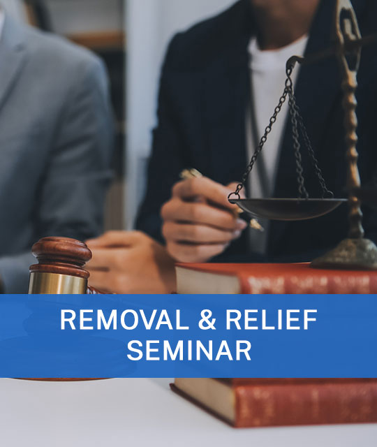 Expert Witnesses for Immigration Court and Appeals